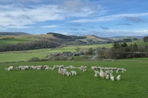 What Led to the Farm Eviction Notice at Flenders Farm
