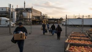 What Happened to Del Monte Foods in 2025 and 2026